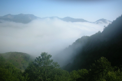 DSCN9916