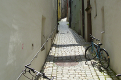 DSCI3543