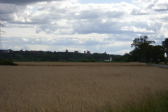 DSCI3693
