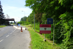 DSCI3766